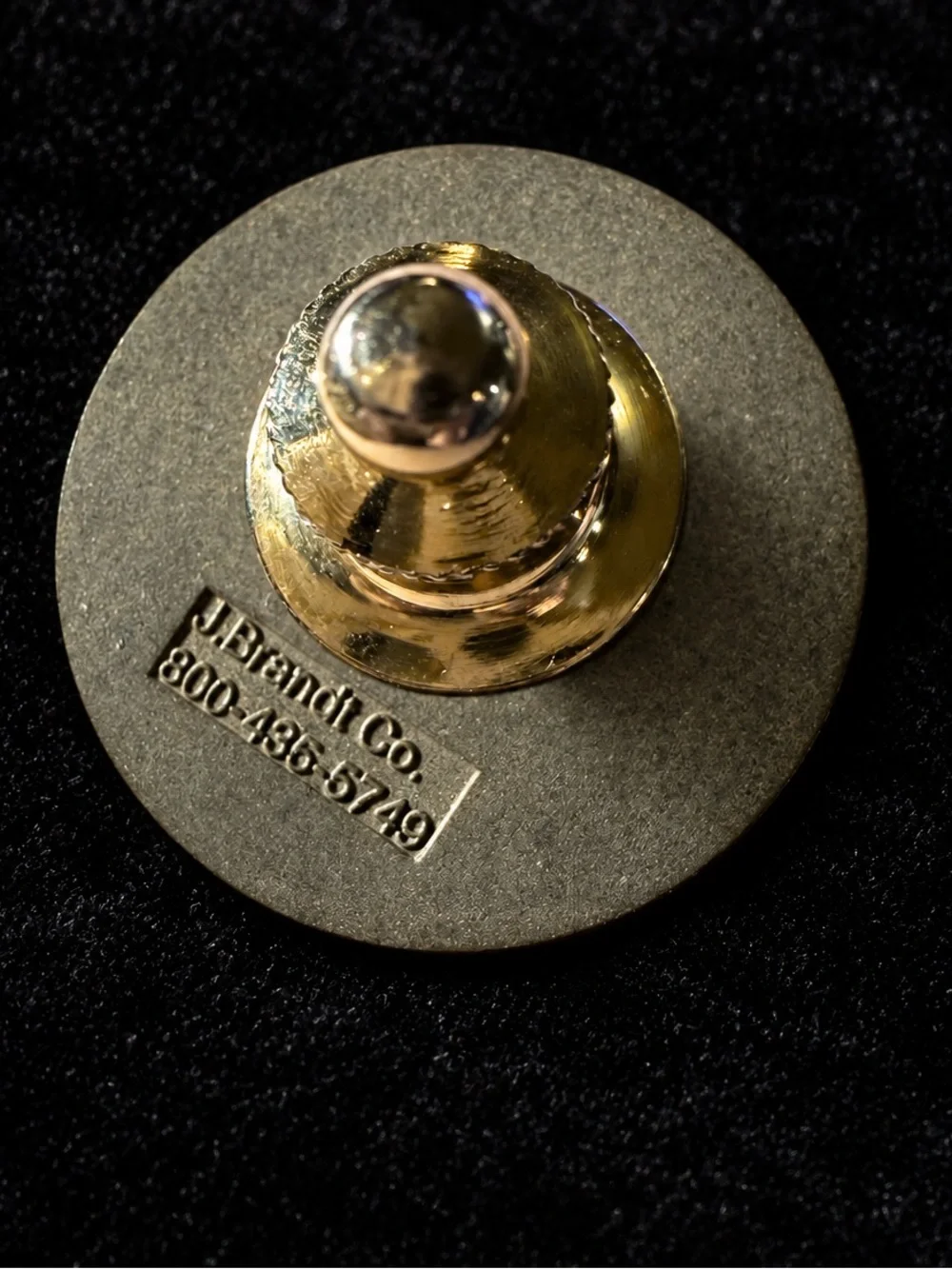 The State Seal of the State of Texas Pin